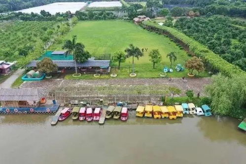 恐龍出沒 萌寵來襲 五一假期,這個生態園區帶你回歸童年