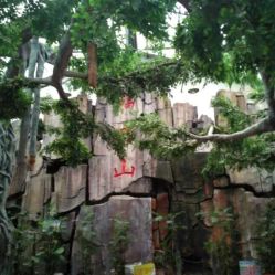 御景生態(tài)園酒店電話,地址,營(yíng)業(yè)時(shí)間 泰安美食