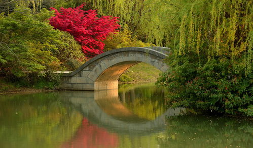 花開海上生態園門票,花開海上生態園游玩攻略 360地圖