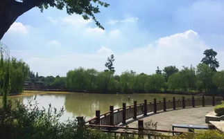 木頭的前世今生丨探訪世友地板生產(chǎn)基地