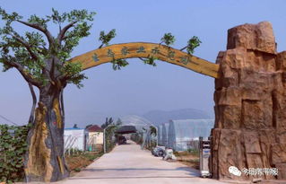 東平碩士生王士明的電商創業路 九龍潭生態園的故事