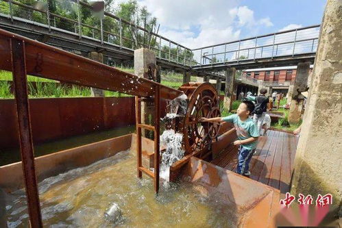 從工業銹帶到生活秀帶 吉林九龍潭生態園讓老工業遺址“活”起來