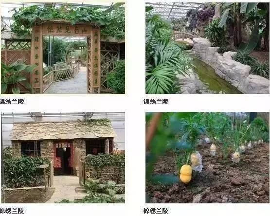 金秋之旅 蘭陵生態園賞向陽花、品美酒一日游