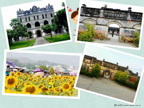 清新、自然，暢聽未來(lái)——武宣環(huán)豐生態(tài)園與九龍?zhí)渡鷳B(tài)園的生態(tài)之旅