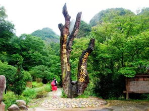 16周歲以下免票游世遺，668元泰寧雙動(dòng)車2日游 大金湖、寨下大峽谷、九龍?zhí)丁⑸袝?shū)第全覽