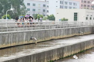 2016市民環(huán)保開放日 走進(jìn)污水處理廠與濕地，共筑綠色東部生態(tài)園——九龍?zhí)渡鷳B(tài)園活動(dòng)回顧